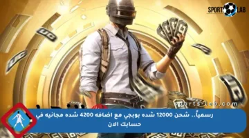 رسمياً.. شحن 12000 شدة بوبجي مع إضافة 4200 شدة مجانية في حسابك الآن